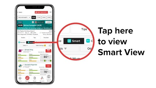 Smartview1.jpg